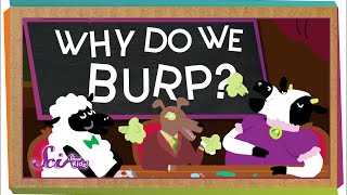 Why Do We Burp Colossal Questions Safe Videos For Kids