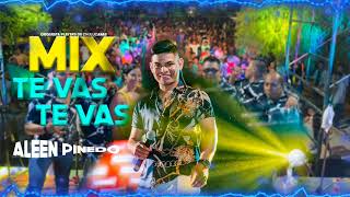 Mix Te vas te vas - Aleen Pinedo ft Orquesta Players de Chulucanas ( En Vivo )