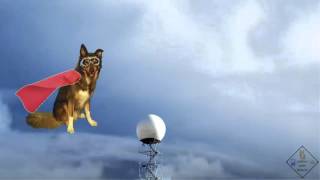 funny introduction doppler effect a science with bobert video short