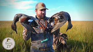 LOUISIANA Salt Marsh Duck Hunting