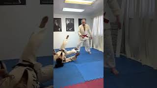 Lewis Palzer Dai Shihan Miyama Ryu Jujitsu  4 of4