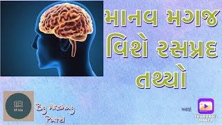 || 8 Interesting Facts About The Human Brain || માનવ મગજ વિશે રસપ્રદ તથ્યો