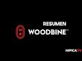 Woodbine Resumen - 4 de Agosto 2024