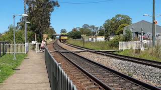 NR46, NR14 AND Indian pacific loco NR26 at Picton and Menangle 5.1.23