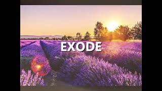 Exode (Exodus) French | Good News | Audio Bible