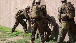 1st Recon Marines Conduct Combat Readiness