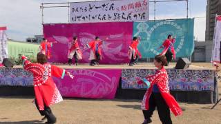 「鬼岩ちんどん」あんたもどーだんはずかしがらんと踊らん会2016