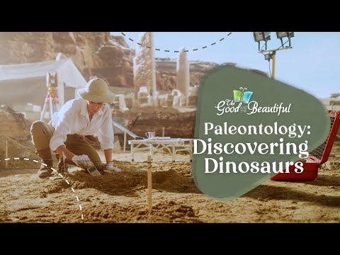 Discovering dinosaurs Paleontology The good and the beautiful