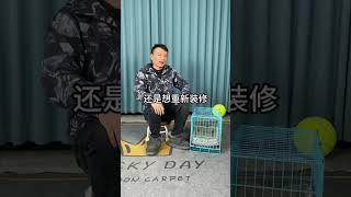 小狗什么时候可以不住笼子，散养呢？这个问题很多新手铲屎官都在问，总想着散养，给狗狗更多的自由空间，才是对狗狗好。#养狗人 #新手养狗 #小狗 #养宠进阶指南 #科学喂养 #科学养宠攻略