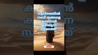 സ്വപ്നത്തിൽ നബി തങ്ങളെ കാണാൻ കഴിയുന്ന സ്ഥലാത്ത് #trending #nabi #viralvideo #islam  #motivation