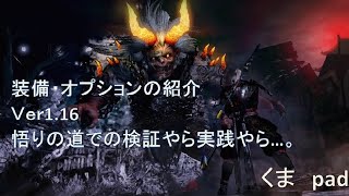 仁王　ver1.16最後の装備オプションの紹介　二刀の最終系かな