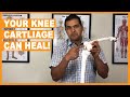 How Knee Cartilage Can Heal Without Surgery