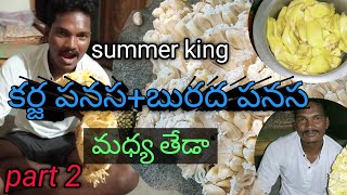 కర్జ పనస బురద పనస డిఫరెన్స్/summer king fruit/part2/vanavasi prem/