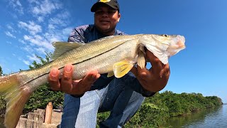 Pesca Con Equipo ULTRALIGHT || Pesca En Laguna De San Agustín, Veracruz