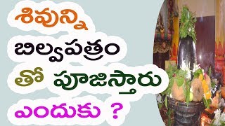 శివుడికి ఇష్టమైన బిల్వపత్రంతో ఇలా పూజిస్తే ఐశ్వర్యం ఆరోగ్యం సిరి లభిస్తాయి..  Bilva Patram Secrets