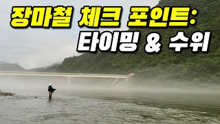 [20240727] 쏘가리낚시 장마철 체크 포인트: 타이밍 그리고 수위