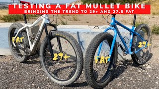 Fat Mullet Bike? | Mixing Wheel Sizes On A Fat And 29+ Bike