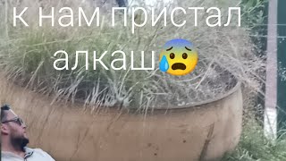 🆘к нам пристал алкаш😰😰😰