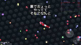 【sIither.io】#2今度こそランキング入るぞー!