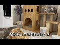 あいちゃんの背後に忍び寄る影の正体は...！？