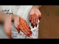 top 20 mehndi design photos raksha bandhan mehndi design collection beautiful mehndi designs 2024