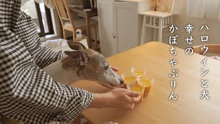 【30代飼い主と犬の日常】愛犬と過ごすハロウィン/幸せのかぼちゃプリン🐶🎃【イタグレ】【ウィペット】