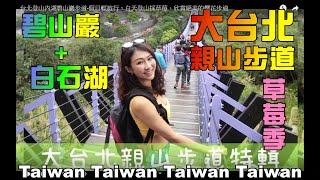 台北登山內湖-碧山巖步道!假日輕旅行,白天登山採草莓.欣賞櫻花步道