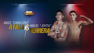 Ángel 'Camaleón' Ayala vs Miguel 'Joyita' Herrera pelea completa | Box Azteca