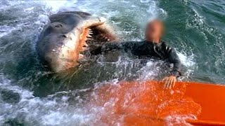 The Most BRUTAL Great White Attacks Of ALL-TIME