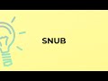 What is the meaning of the word SNUB?