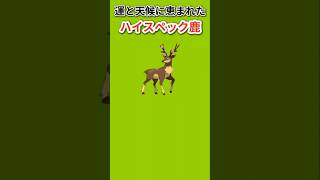 【ポケモン】運と天候に恵まれたハイスペック鹿「メブキジカ」【ポケモン解説員】#ポケモンBW#ポケモン解説員