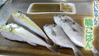 【爺ちゃんの晩ご飯】子どもの頃によく食べたシロサバフグのお味噌汁とマメダイで昔懐かしいご飯になりました！