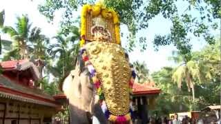 05 Pooram Festival at Thrissur Vazhappully Sree Rajarajeswari Temple Kazhimbram