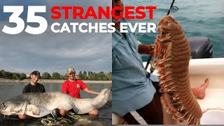 35 Weirdest Things And Creatures Caught While Fishing