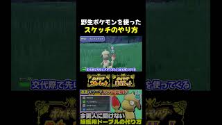 【ポケモンSV】ドーブルにスケッチで技を覚えさせる方法パターン1 野生ポケモンを使おう!!【切り抜き】【色違いポケモン】【色違い厳選】#shorts