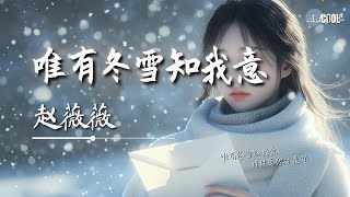 赵薇薇 - 唯有冬雪知我意「片片思念皆是你」【🎧AI高质音乐/拼音歌词 Eng Lyrics】