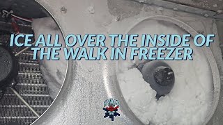 ICE ALL OVER THE INSIDE OF THE WALK IN FREEZER