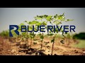 See & Spray - Blue River Technology's precision weed control machine