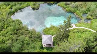 Zelenci - Kranjska Gora