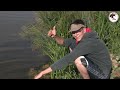 pecanje na kanalu dtd u vojvodini kod vršca dubinsko pecanje fider pecanje fishing carp