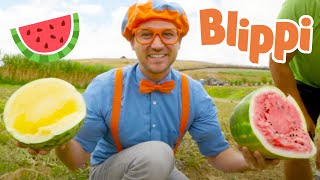 Blippi Visits Tanaka Farm | Healthy Eating Videos For Kids | Educational Videos For Kids
