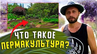 🌿 Что такое пермакультура?🌾 Это Система Ведения Сельского Хозяйства 🌼 Основанная На Экосистемах!🌻