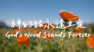 神的話永遠立定 God's Word Stands Forever | 等候神音樂 | 靈修音樂 Soaking Music | Instrumental Music | 療癒音樂