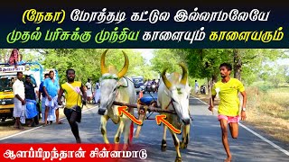 #ஆளப்பிறந்தான் கரிச்சான் மாடு புதுக்கோட்டை (ம) 13-05-2022 #Alapiranthan karichan