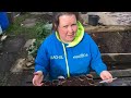 how to start parsnip seeds in toilet rolls dont crop me now