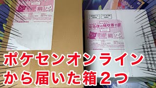 【ポケカ】ポケセンから届いた名探偵ピカチュウが可愛すぎた！