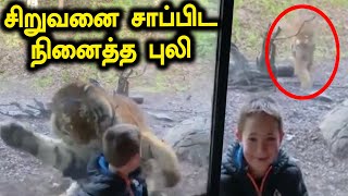 சிறுவனின் மீது பாய்ந்த புலி! | tiger upon a 7-year-old boy