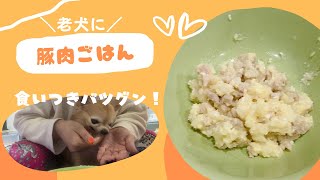 【豚肉ごはん】老犬介護士の教科書に載っていたレシピを作ってみた！