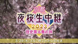 【番宣】京都夜桜生中継2023 歴史薫る春の旅｜KBS京都