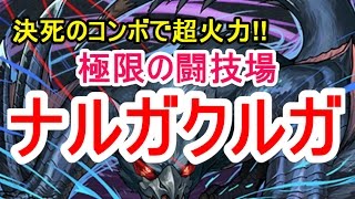 【パズドラ】極限の闘技場 ナルガクルガ【エンハなしカーリー\u0026ピィワンパン】